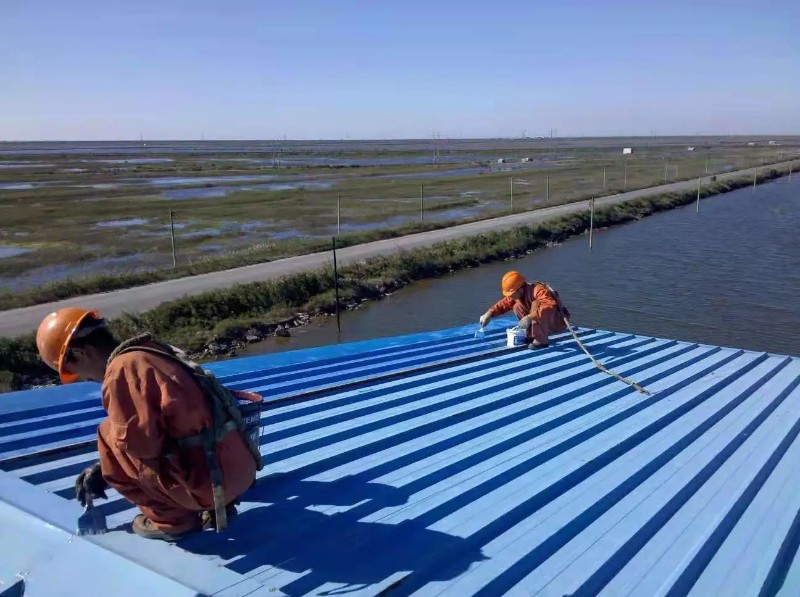 广水彩钢瓦屋面防腐翻新